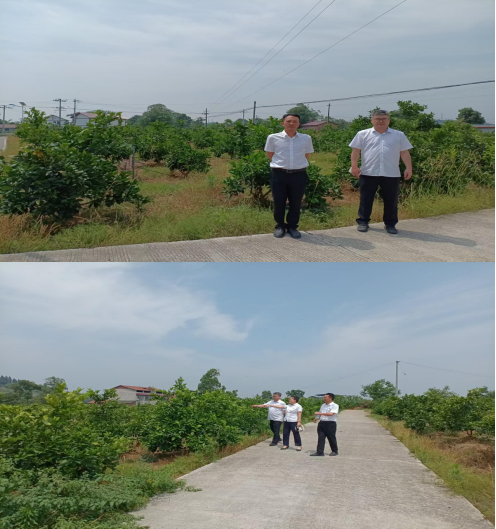 RTX截图未命名1 RTX截图未命名1