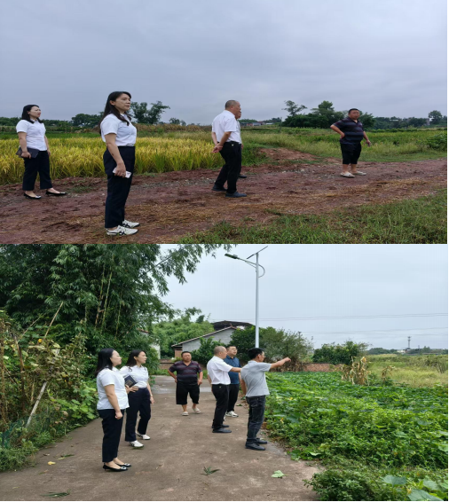 RTX截图未命名 RTX截图未命名