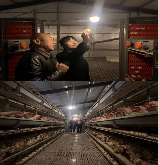 RTX截图未命名 RTX截图未命名